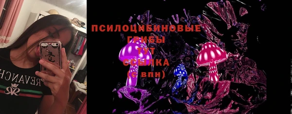 твердый Инта