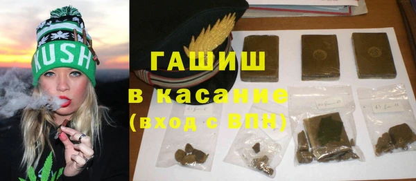 твердый Инта