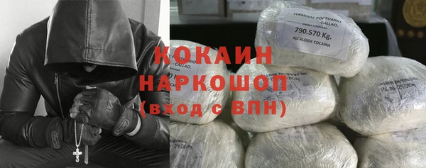 соль ск Инсар