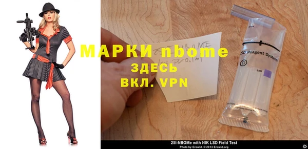 соль ск Инсар