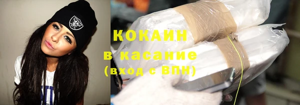 соль ск Инсар