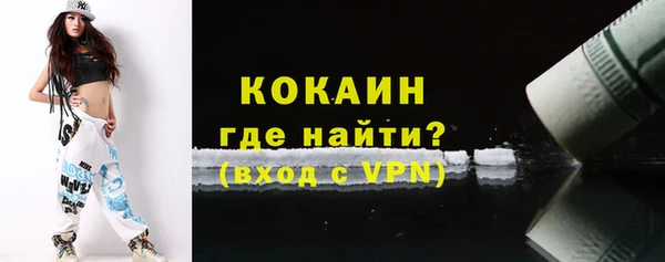 соль ск Инсар