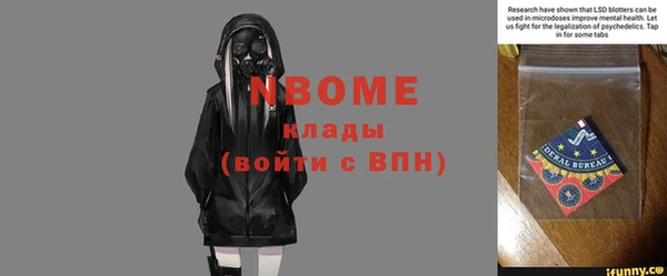 соль ск Инсар