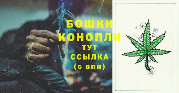МДПВ Иннополис