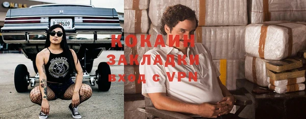 твердый Инта