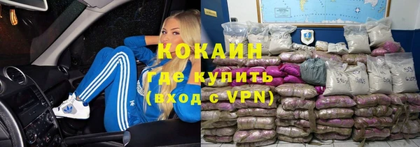 твердый Инта