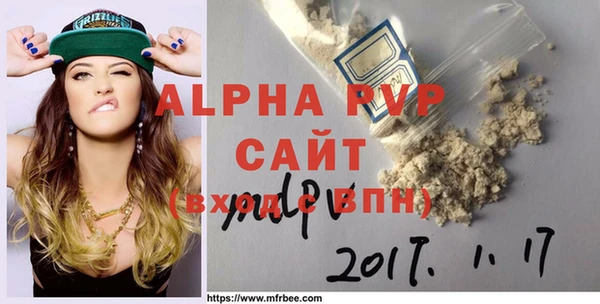 соль ск Инсар