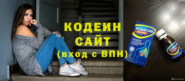 твердый Инта