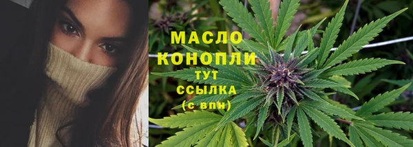 соль ск Инсар