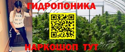 гидра Заволжье
