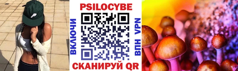 Галлюциногенные грибы Psilocybine cubensis  хочу   Воронеж 