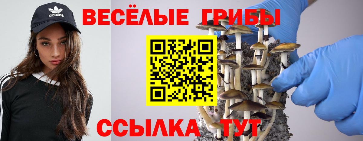 Псилоцибиновые грибы Cubensis Воронеж